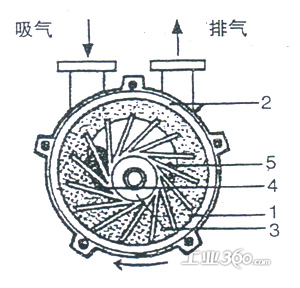 2bv型水环式真空泵的工作原理